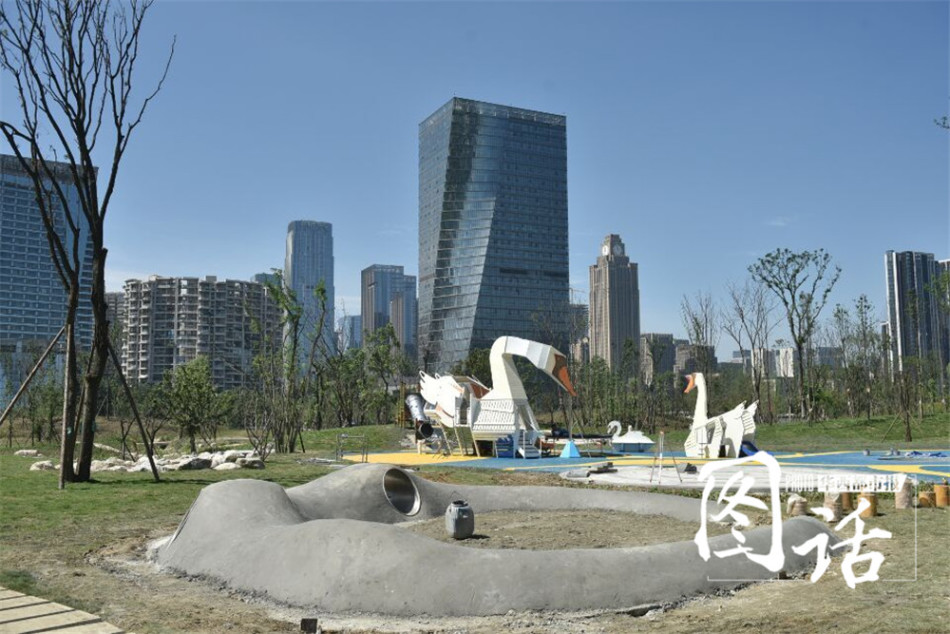 纽约试人口_人口普查