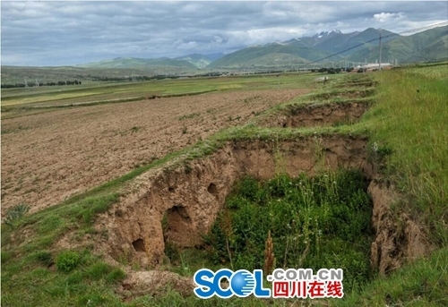 延安市有多少人口_延安故事 昨天的延安 还有多少人记得