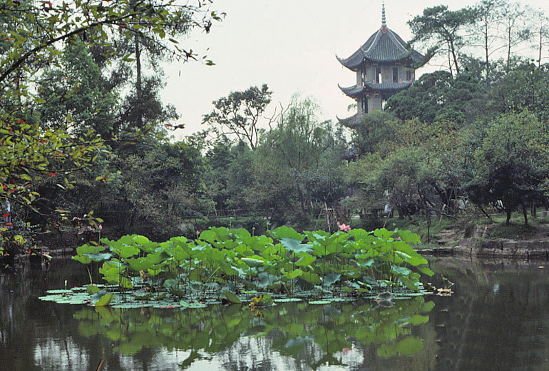 望江公园成都在哪买票 80506_5241937_968707.jpg