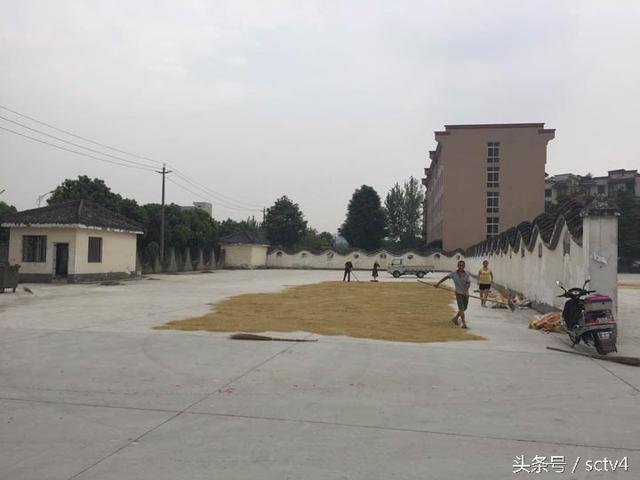 成都市人口调查_调查显示中国城市年轻人7成都有房 你是剩下的那3成吗