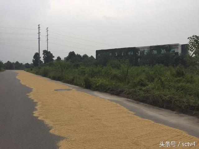 温江现有人口_温江已建,在建,拟建的学校资源汇总 看准自己户口,早看早准备