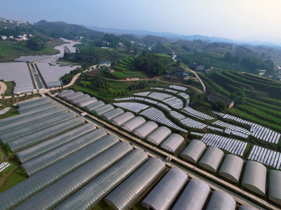 纳溪gdp_纳溪中学新校区图片