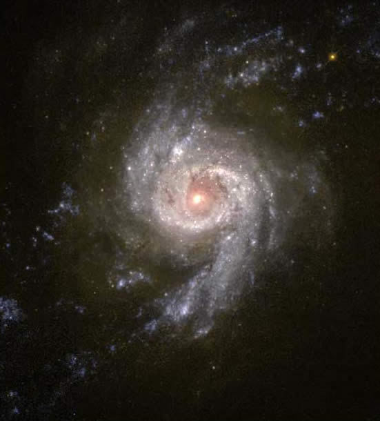 2255_29310_535868.jpg