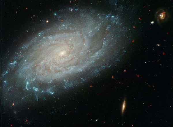 2255_29335_863997.jpg