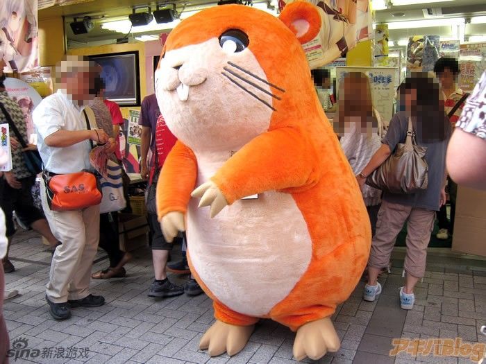 《<em>超元气三姐妹</em>》<em>仓鼠</em>奇克比Cosplay - 游戏频