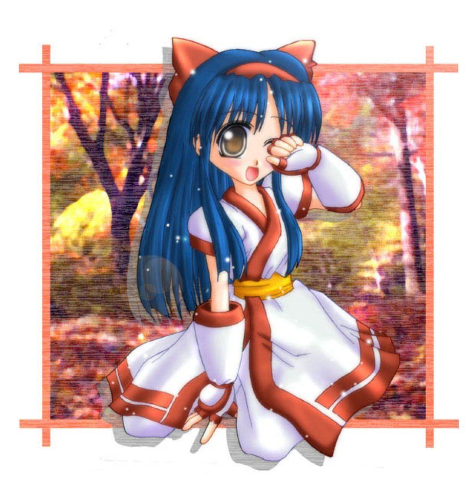 娜可露露侍魂