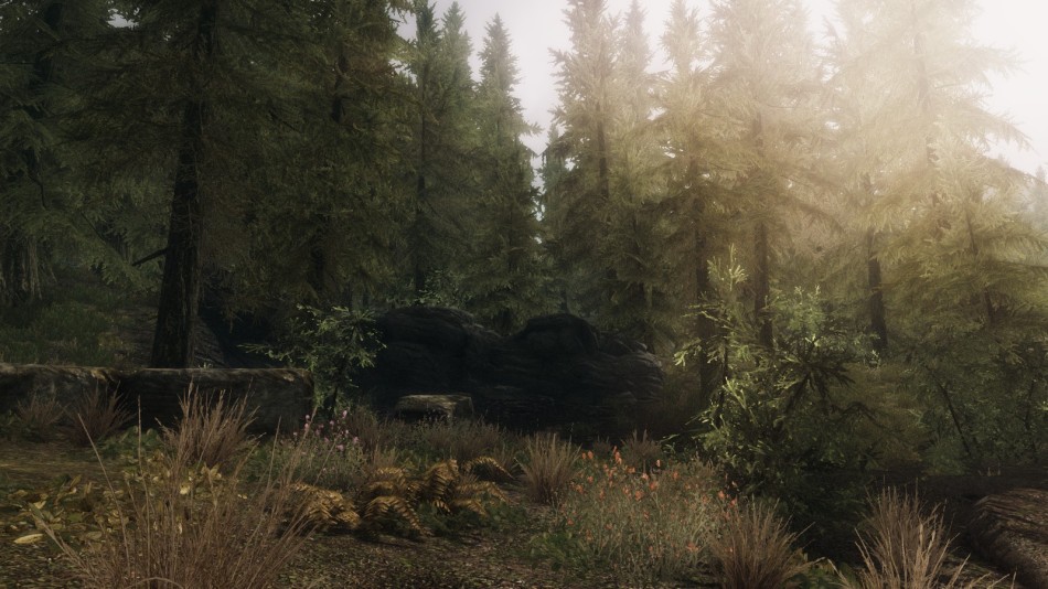 《<em>上古卷轴5</em>》翘臀<em>妹纸</em>美图赏析 - 游戏频道|佛