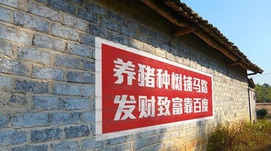 中国农村人口占比_调查 中国农业户口残疾人中贫困人口占比接近一半