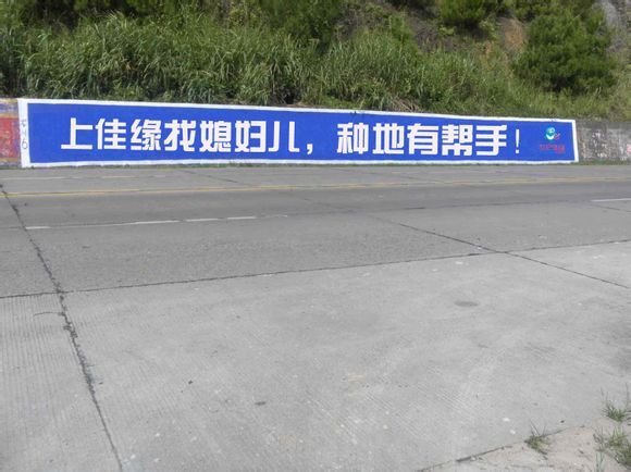 中国农村人口占比_调查 中国农业户口残疾人中贫困人口占比接近一半(2)
