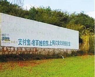 中国农村人口占比_调查 中国农业户口残疾人中贫困人口占比接近一半