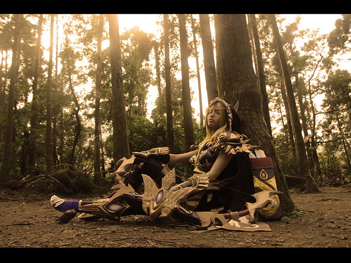 完美还原!2015台湾暴雪COSPLAY大赛精彩图