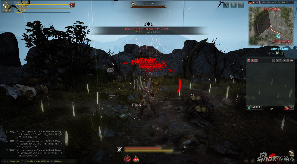 《黑色沙漠》日服更新版本 海量游戏截图欣赏