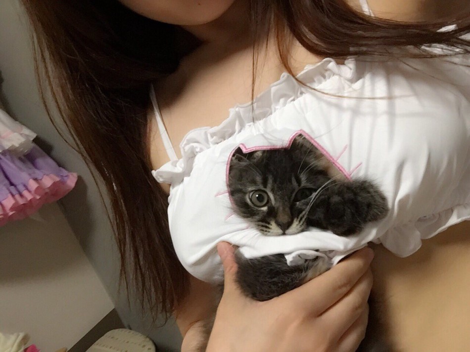 日本猫咪内衣_日本内衣美女(3)