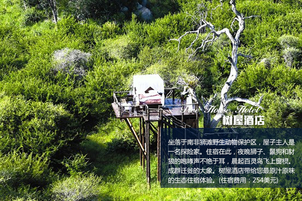 嘶鸣声是什么声音 50008_817129_174446.jpg