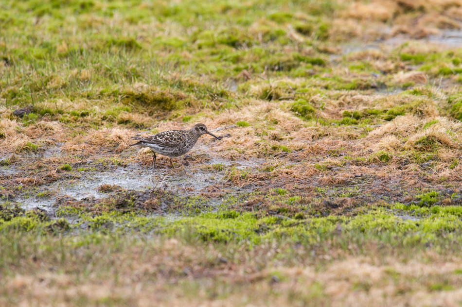 科比81分全场视频-乐鱼app(leyu)官方网站-乐鱼官网