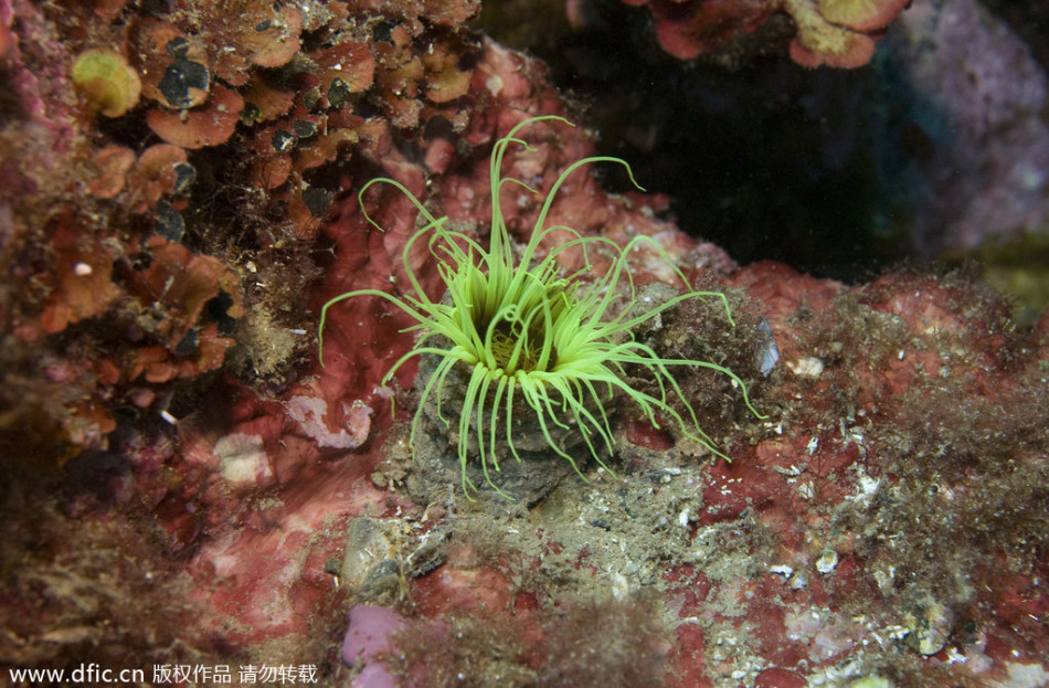 2013年4月6日-乐鱼app(leyu)官方网站-乐鱼官网