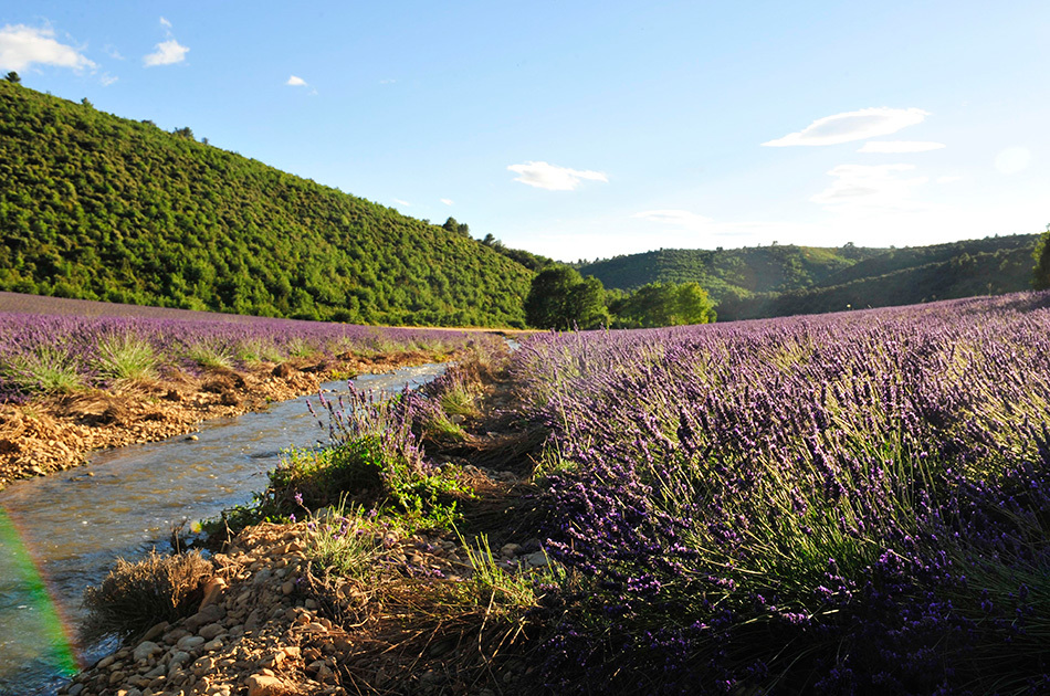 中田英寿-乐鱼app(leyu)官方网站-乐鱼官网