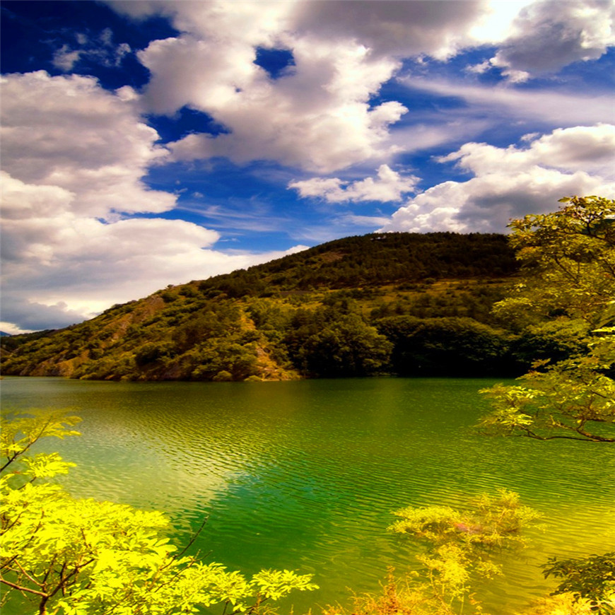 法甲降级-乐鱼app(leyu)官方网站-乐鱼官网