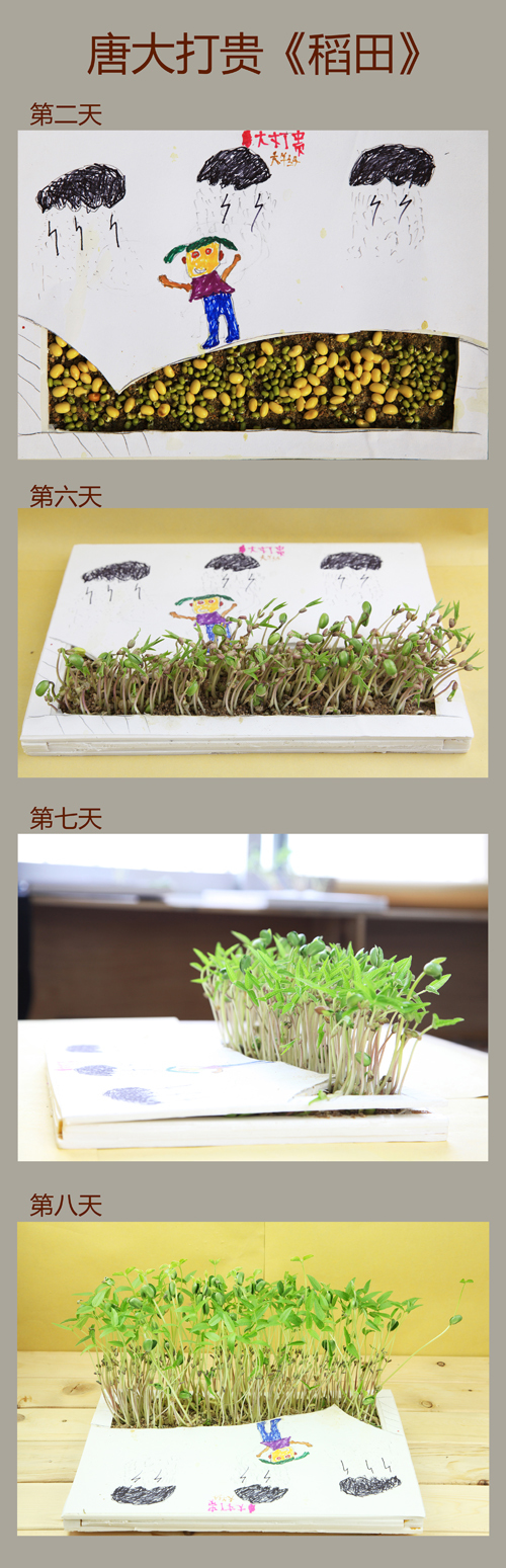 食物简笔画 豆子