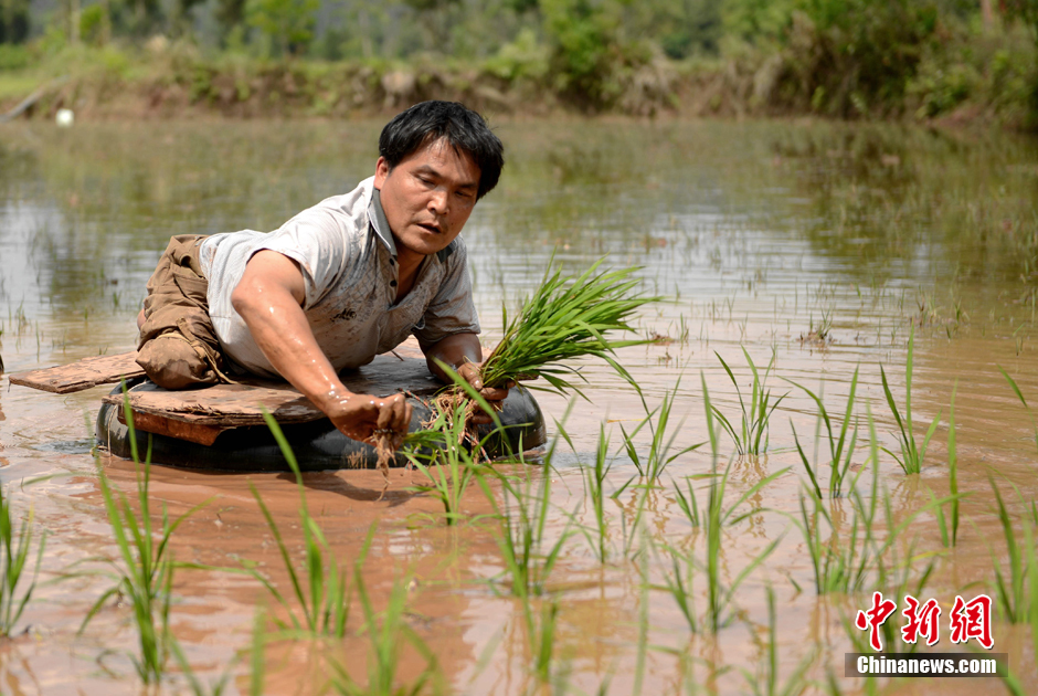 触动心弦的感人画面-画面,蔓延到,之地-丽水频