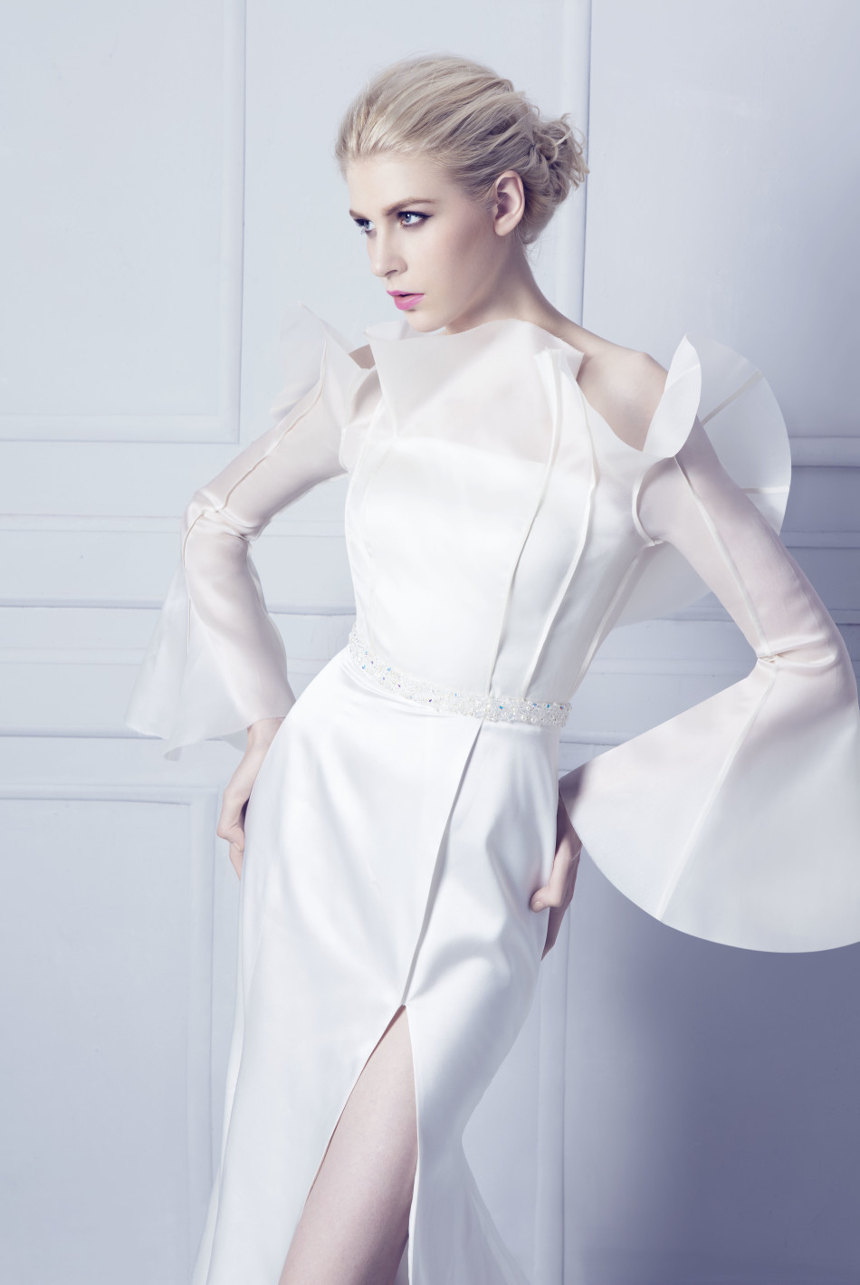玉兰婚纱_国画玉兰(3)