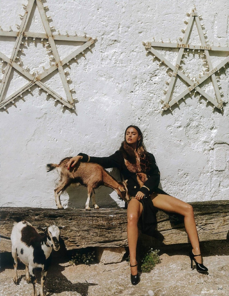 范德梅德-乐鱼app(leyu)官方网站-乐鱼官网