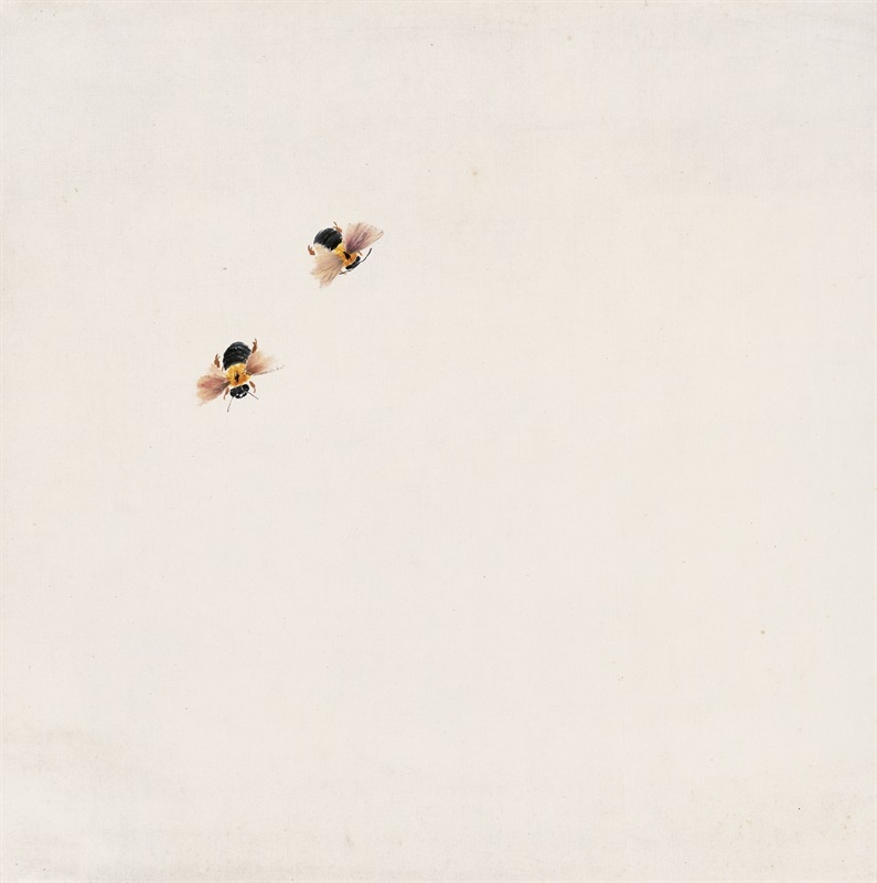 35cm×34.5cm 无年款 纸本设色 北京画院藏