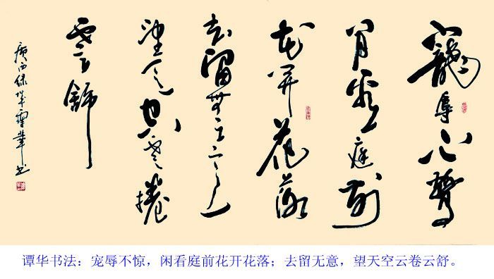 谭华书法:宠辱不惊,闲看庭前花开花落(13/45)