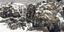 疏林寒山136 x68cm 2010年