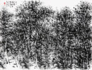 太行山 王莽岭松林  58X43CM 焦墨写生 2012年