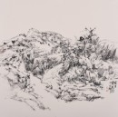 写生井底2018年50x50cm