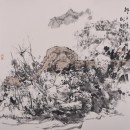 狮子坪水电站50x50cm2017年