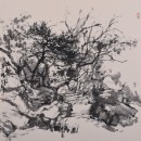 幽径50x50cm2017年