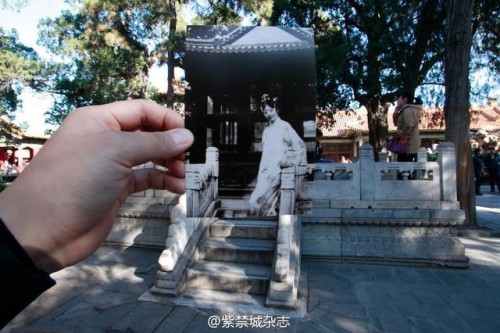 17348_387864_102968.jpg-图片版权归原作者所有