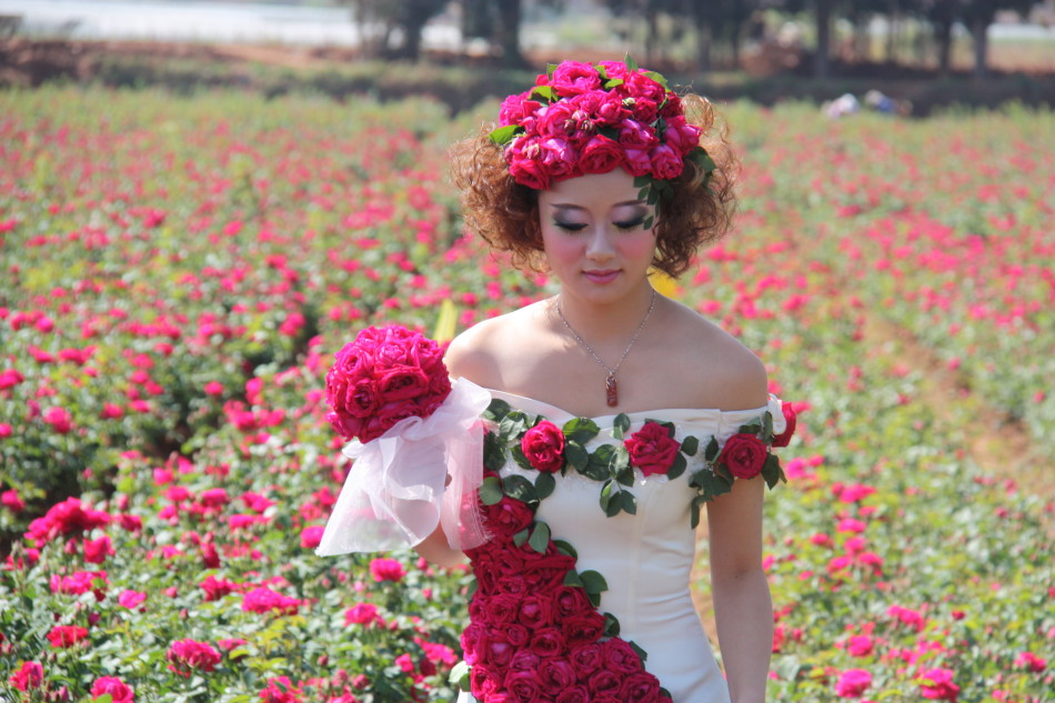 玫瑰田婚纱_迪丽热巴玫瑰婚纱图片