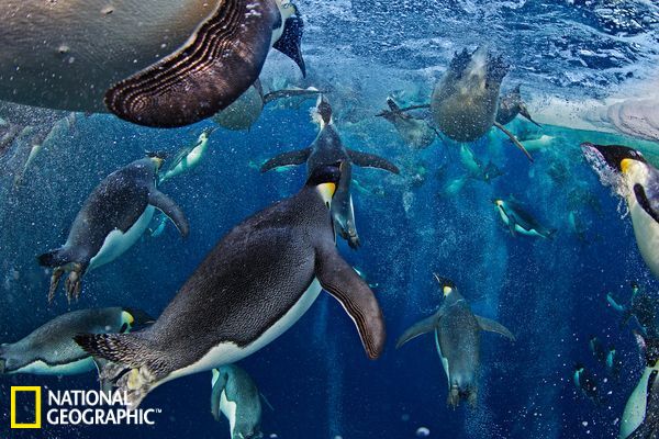 鲁尼吉格斯-乐鱼app(leyu)官方网站-乐鱼官网