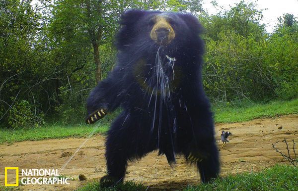 赵作峻-乐鱼app(leyu)官方网站-乐鱼官网