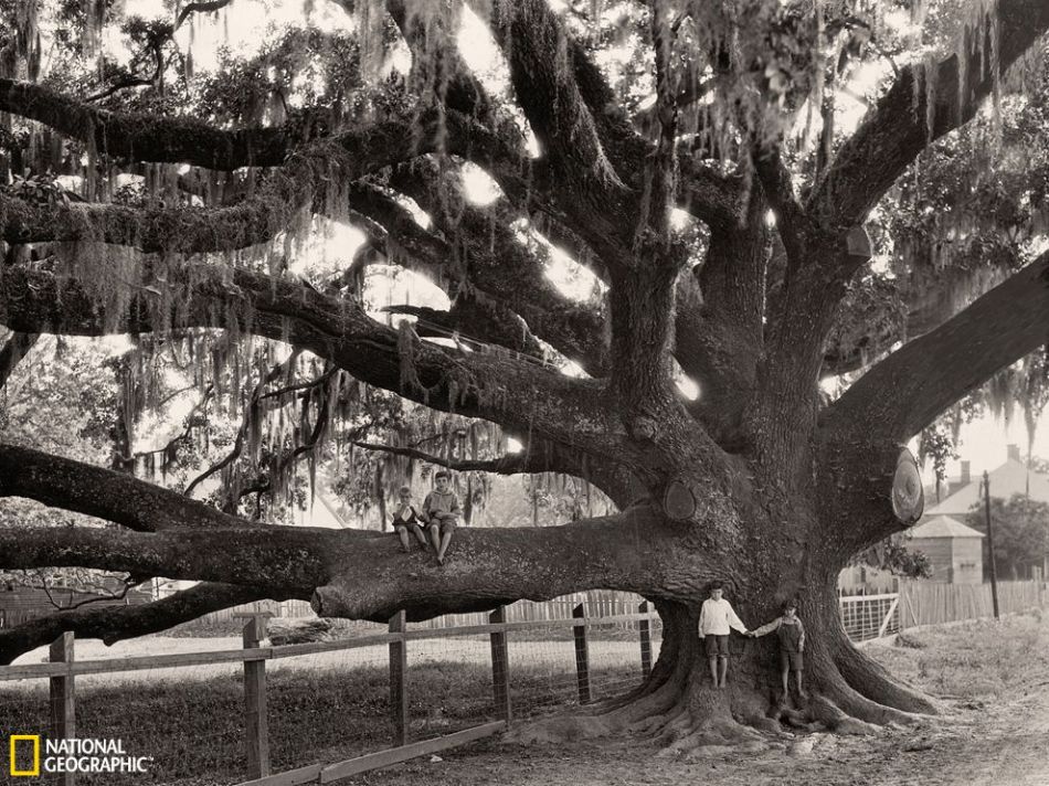 环球地理一周图片:西班牙音乐家为女孩弹唱
