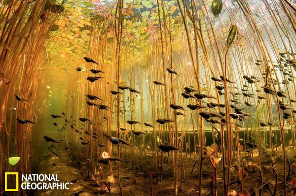 飞翔的荷兰人-乐鱼app(leyu)官方网站-乐鱼官网