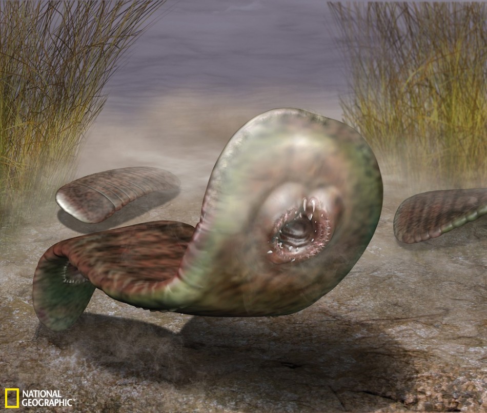 拉基蒂奇-乐鱼app(leyu)官方网站-乐鱼官网