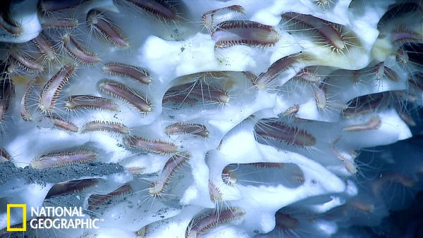 全球开采海底可燃冰:日本或将实现能源自给 -