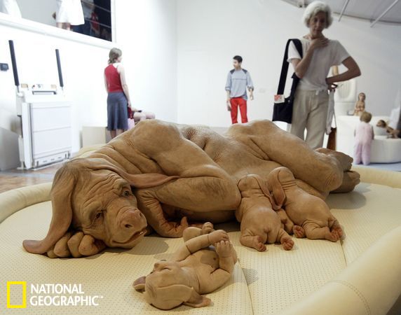 内特罗宾逊打架-乐鱼app(leyu)官方网站-乐鱼官网