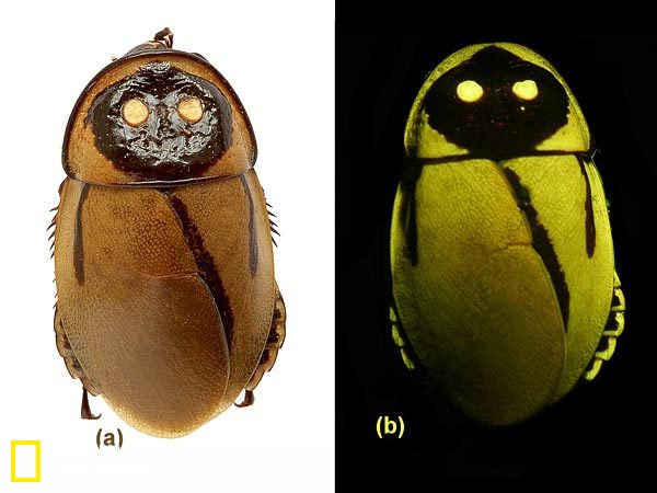 五人制足球赛场地-万博体育(官网)官方网站-万博体育app官网下载-ManBetX