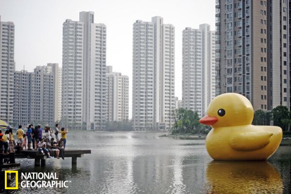 阿根廷尼日利亚-乐鱼app(leyu)官方网站-乐鱼官网