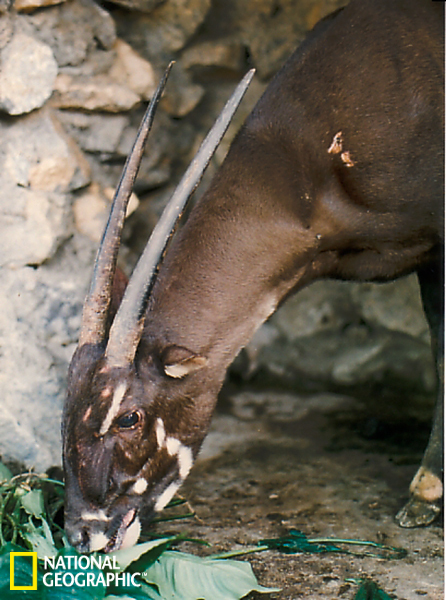 阿斯顿维拉vs曼联