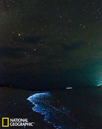 杜兰特的臂展-乐鱼app(leyu)官方网站-乐鱼官网