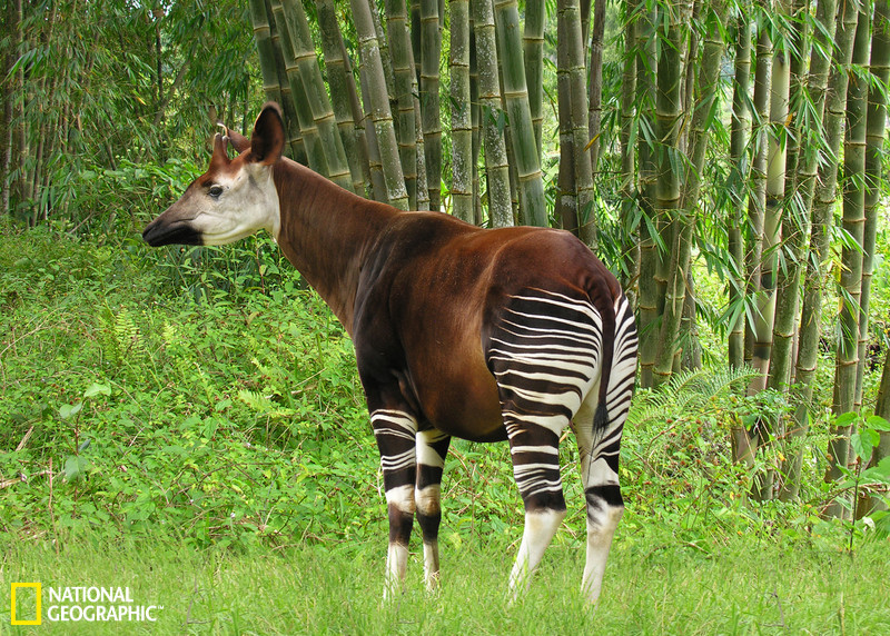 云南电视台直播-乐鱼app(leyu)官方网站-乐鱼官网