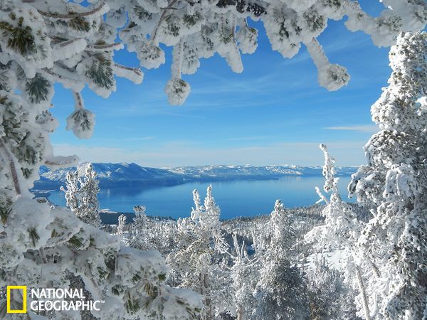 世界杯积分规则-乐鱼app(leyu)官方网站-乐鱼官网