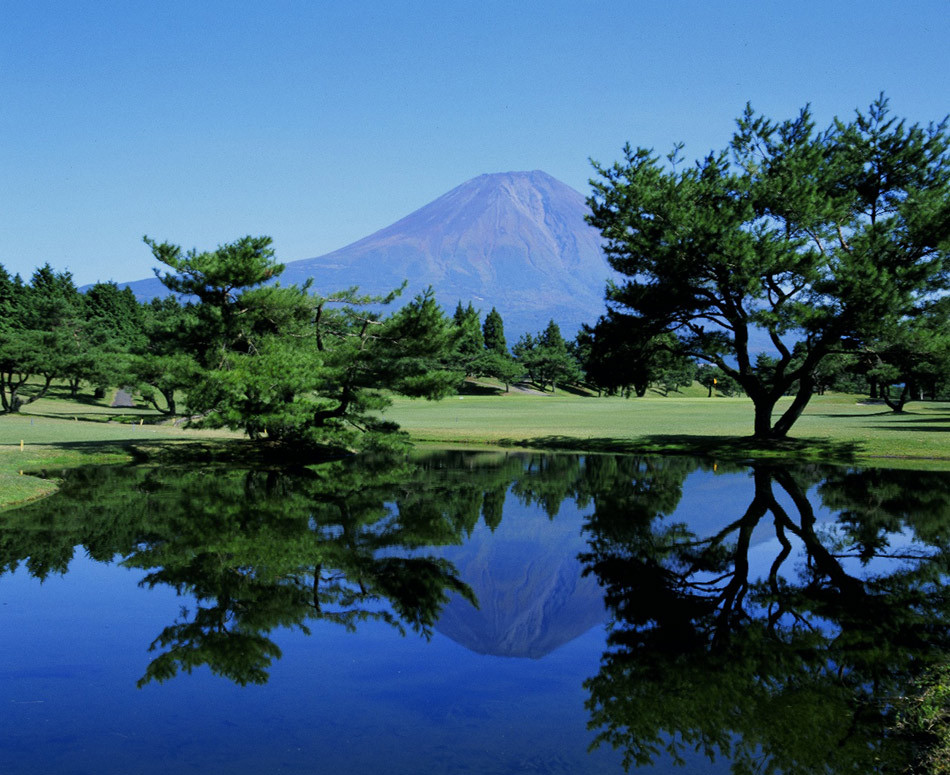 盛夏景色