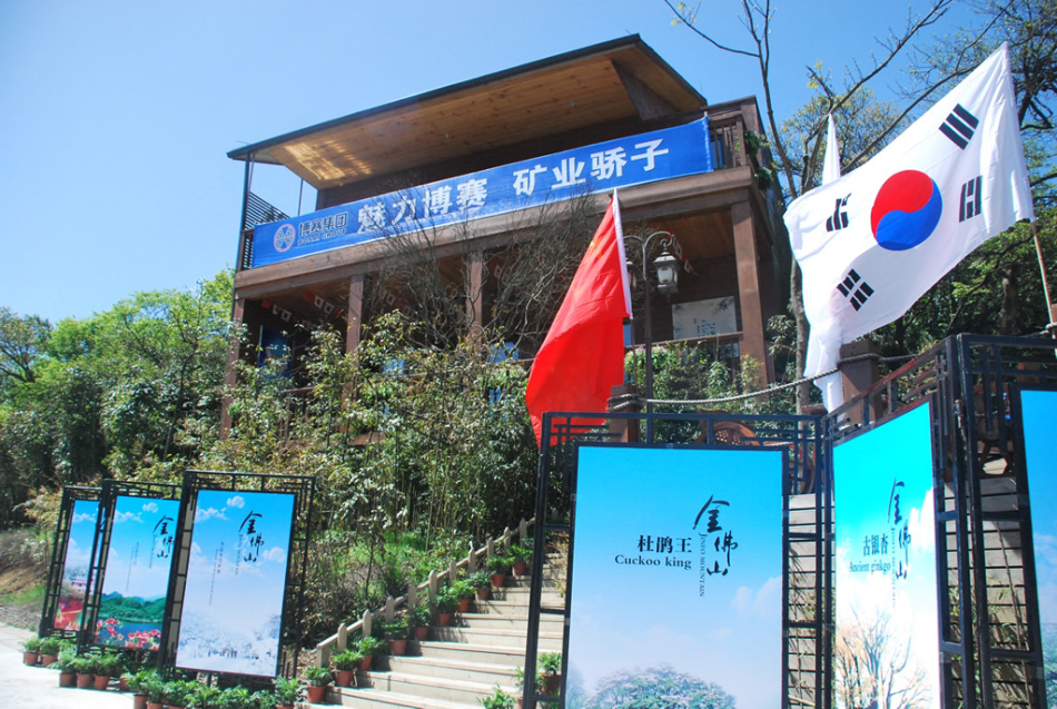 www.17c官方版
